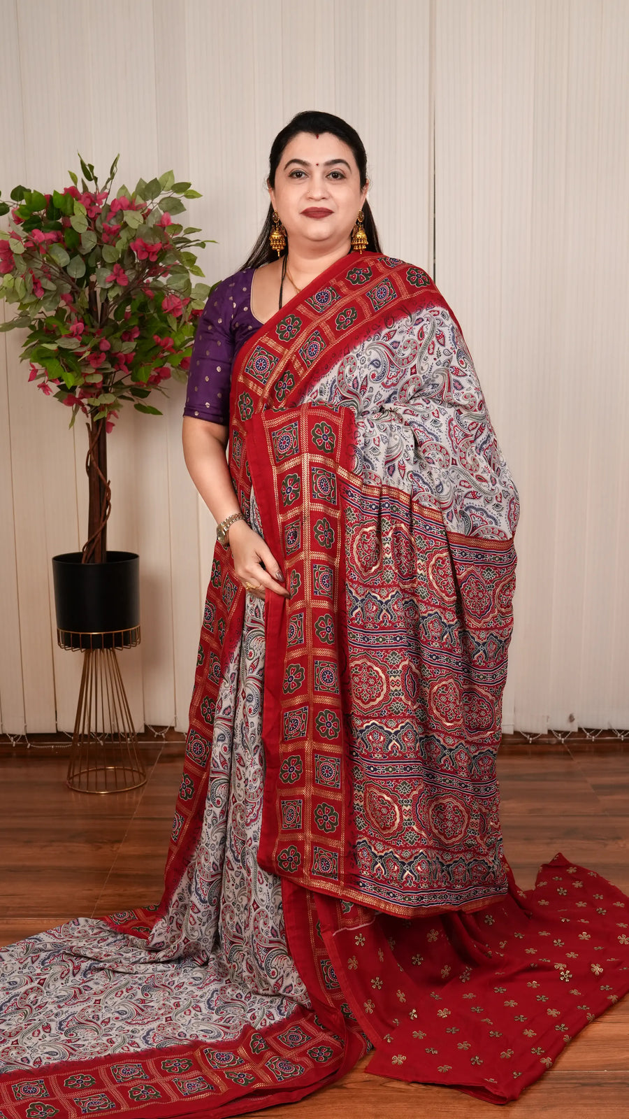 Semi Georgette With Gharchola Pattern Borders And Foil Printed Concept