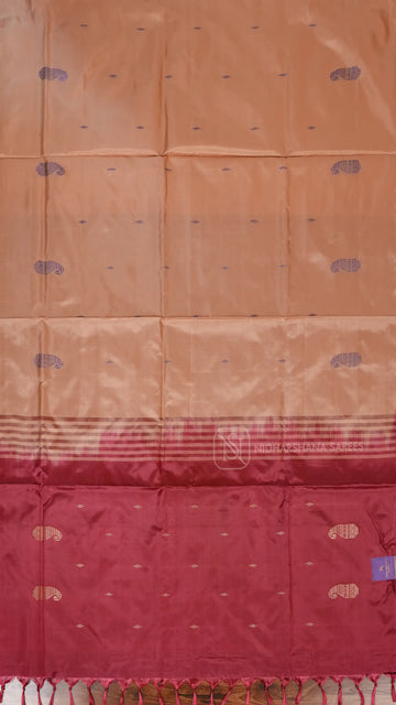 Banana Pith Saree With Thread Woven Butta And Contrast Pallu And Dual Shade Concept