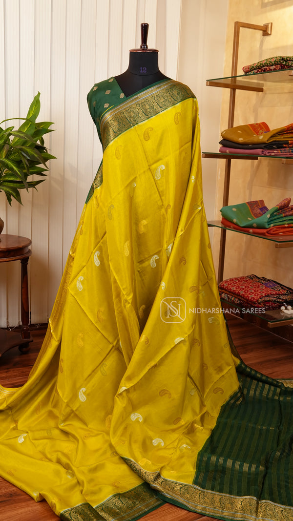 Semi Viscose Silk With Silver And Golden Mango Zari Butta Concept