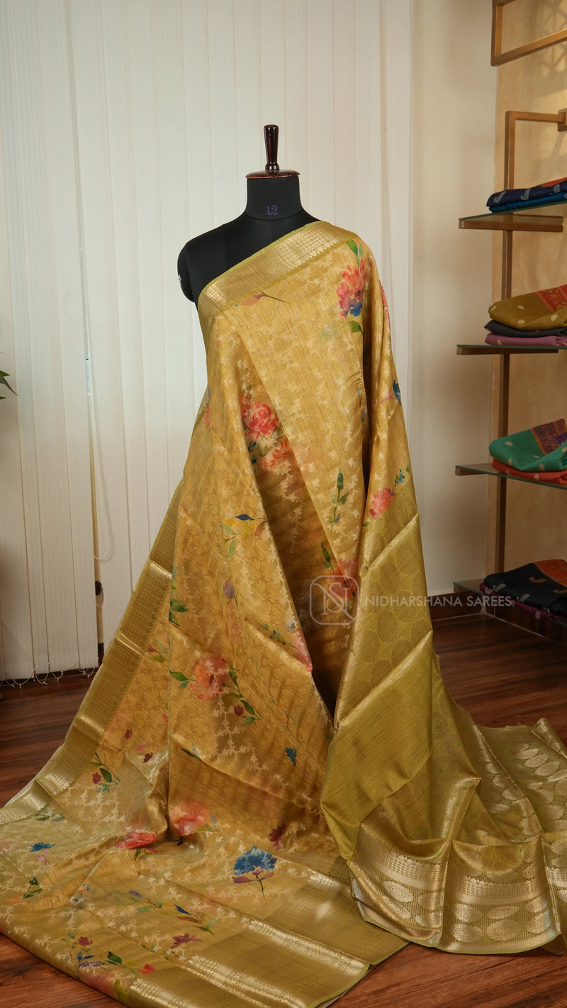 Tissue Saree With Zari Border