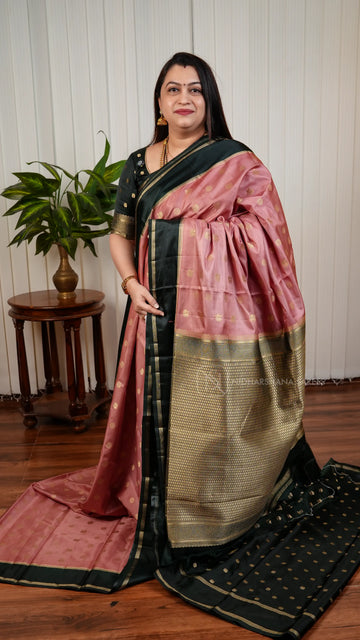Semi Raw Silk With Annam Motif Zari Butta And Gap Style Zari Border