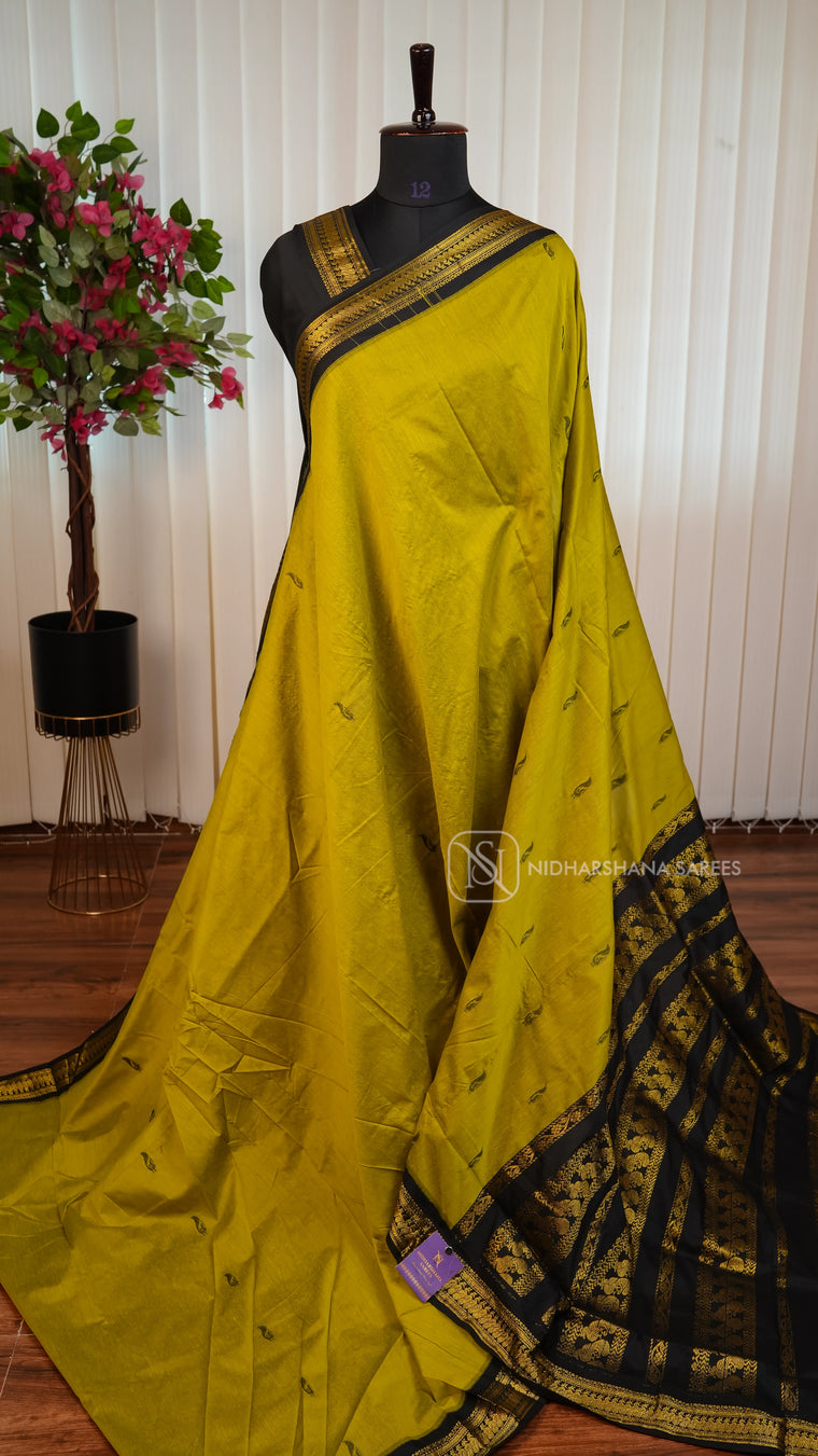 Kalyani Cotton With Zari Border