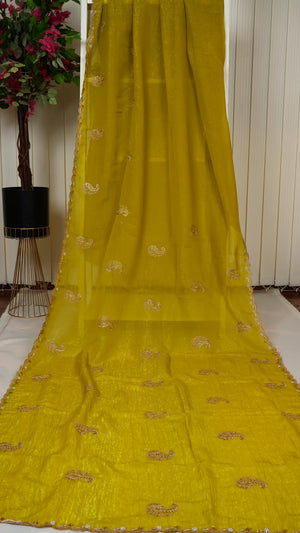 Crush Chiffon With Pearl Cut Work Border