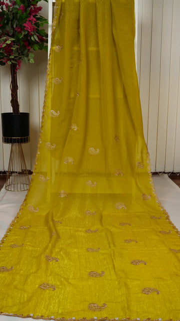 Crush Chiffon With Pearl Cut Work Border