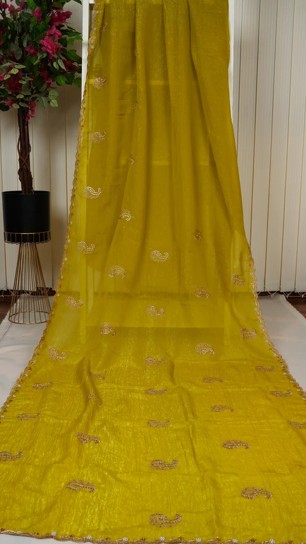 Crush Chiffon With Pearl Cut Work Border
