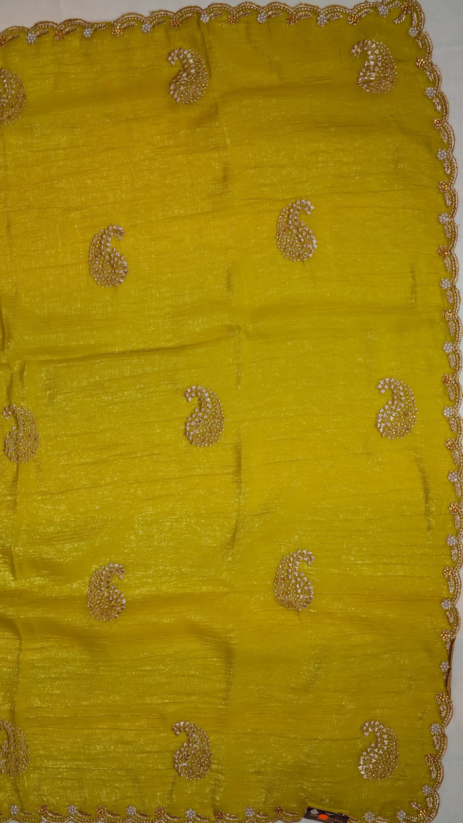Crush Chiffon With Pearl Cut Work Border