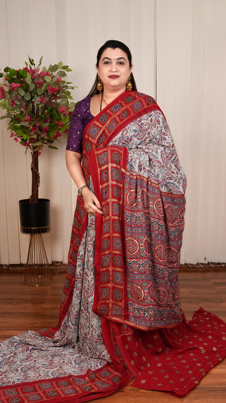 Semi Georgette With Gharchola Pattern Borders And Foil Printed Concept