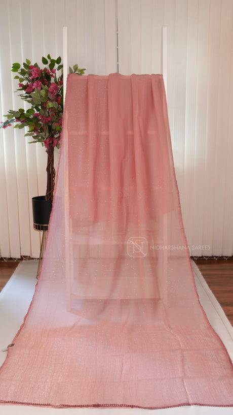Crush Chiffon Saree With Swaroski Stone Concept And Embroidery Blouse