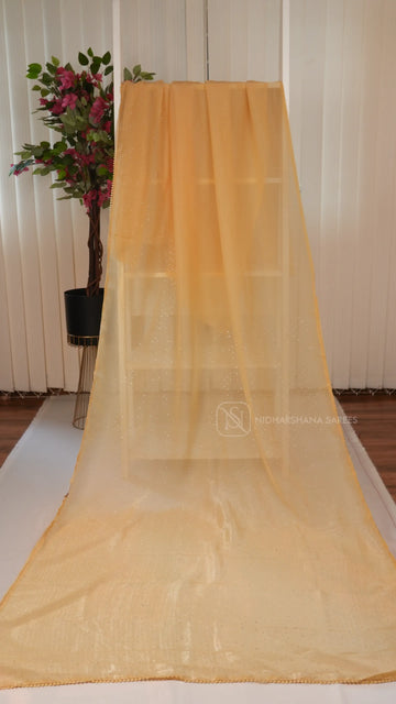 Crush Chiffon Saree With Swaroski Stone Concept And Embroidery Blouse