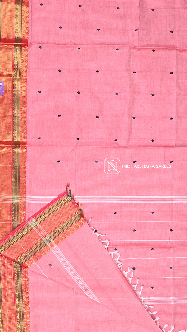 Kanchi Cotton