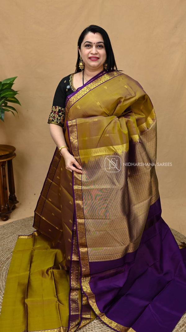Pure Kanchipuram Silk
